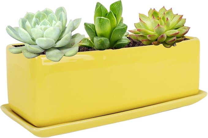 Vencer 12 Inch Rectangular Modern Minimalist Ceramic Succulent Planter Pot by Vencer