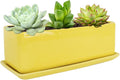 Vencer 12 Inch Rectangular Modern Minimalist Ceramic Succulent Planter Pot by Vencer