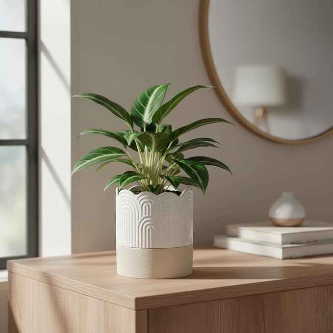 Nihow Self Watering Plant Pot: 4.5 Inch Ceramic Planter - Image 8