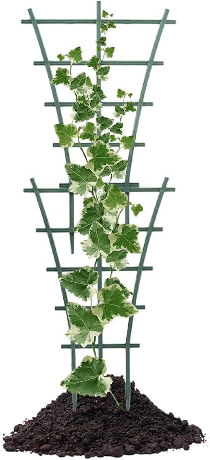 Trellis Small Outdoor, Mini Vine Support Indoor Plant Trellis - Image 7