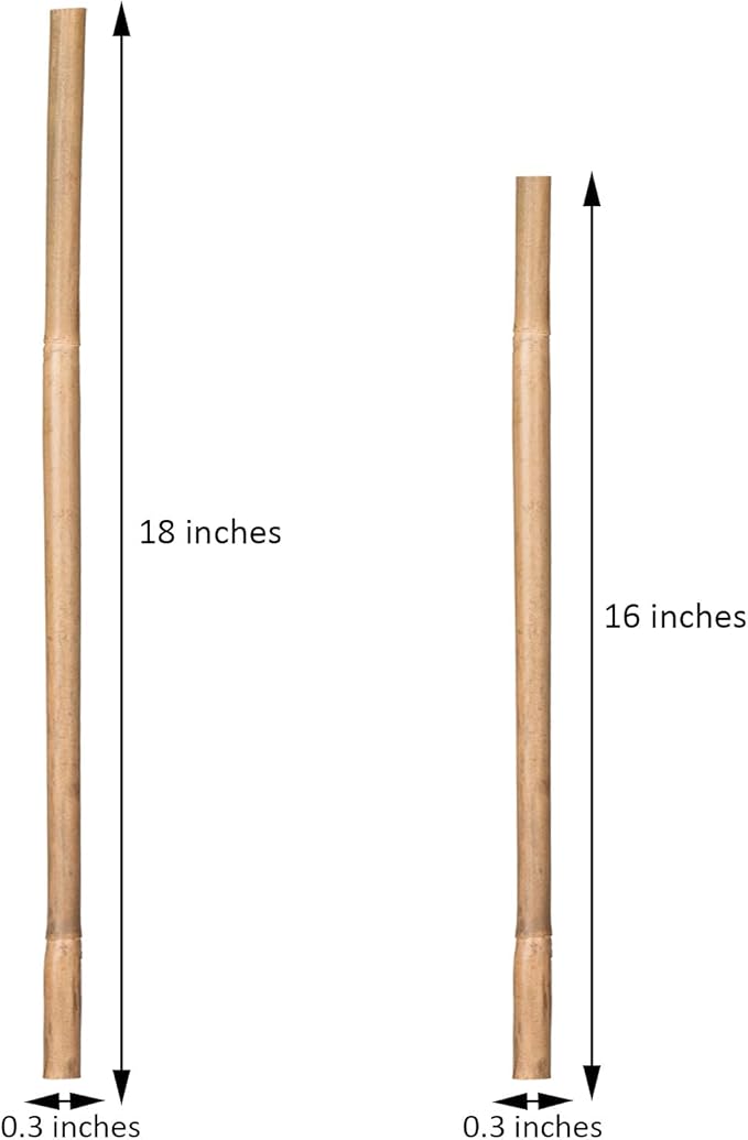 Plant Stakes Natural Garden Bamboo Sticks - Image 2