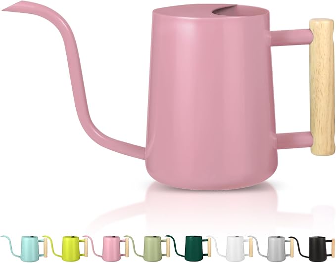 Watering Can Indoor Plants, 35oz Small Indoor Stainless Steel Metal Watering by GUKJOB
