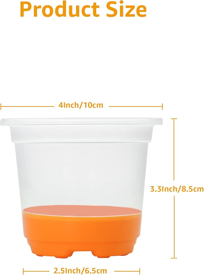MIXC Thickened Clear Nursery Pots - Image 2