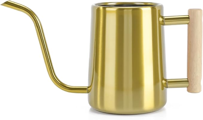 Watering Can Indoor Plants, 35 oz/1000 ml Metal Stainless Steel Watering Can Pot by Unknown