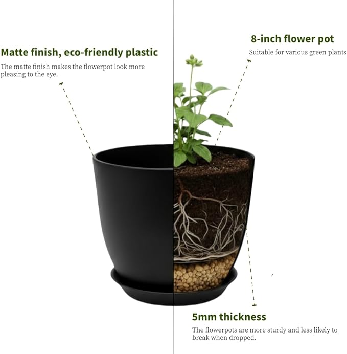 Plant Pots 8 Inch Set of 6, Flower Pots - Image 4