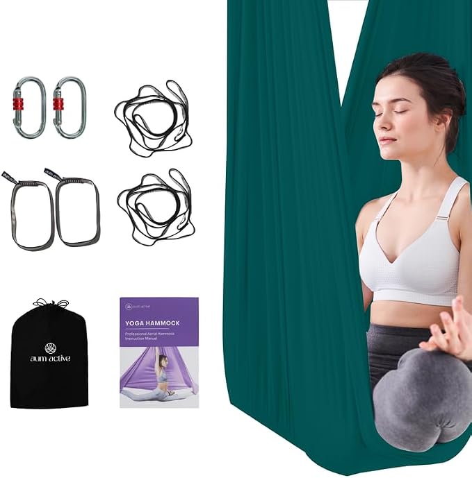 Aerial Silk Yoga Hammock & Swing by AumActive