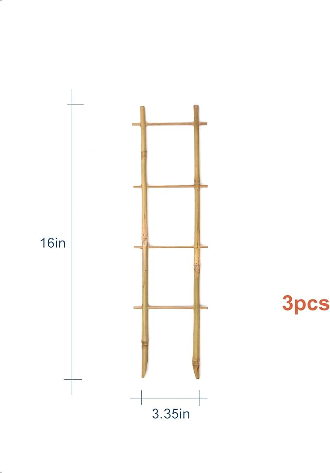 3Pack Bamboo Trellis 16 Inch Ladder Shaped Small Plant Trellis - Image 3