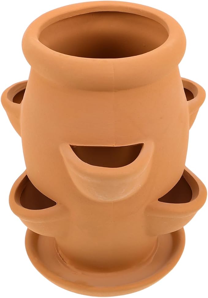 BESTonZON Terracotta Multi Pocket Succulent Plant Pot Lightweight Strawberry by BESTonZON