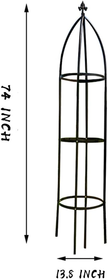 Garden Arch Trellis for Climbing Plants Rose Thicken Metal Wedding Arches Arbor - Image 6