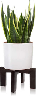 Gendral Forwepup Plant Stand Indoor Outdoor, Mid Century Plant Stand by GendralForwepup