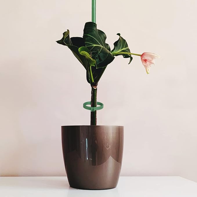 12 Inch Plant Support Stakes, - Image 3