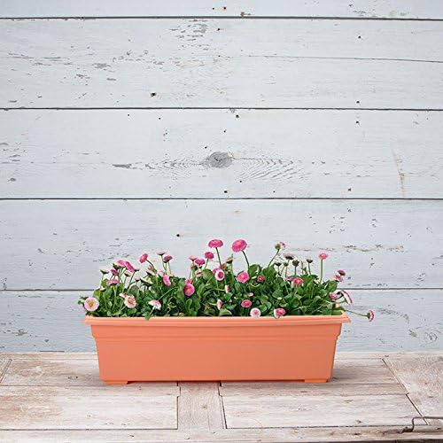 Root & Vessel 16245 Countryside Flower Box, Terracotta - Image 3