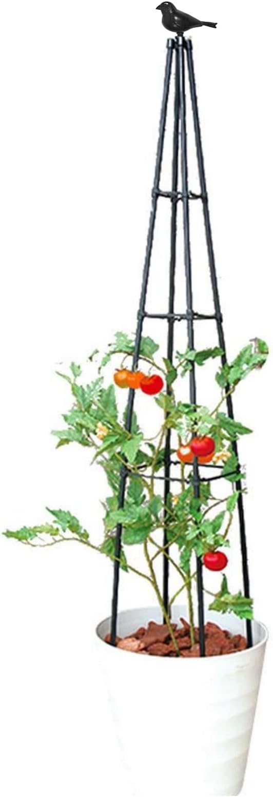 Cucumber Trellis, 2 Pack - Image 4