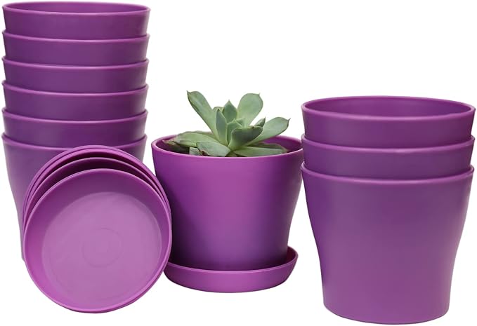 TDHDIKE 10 Pcs Plastic Planters Indoor Flower Plant Pots, Mini Flower Seedlings by TDHDIKE