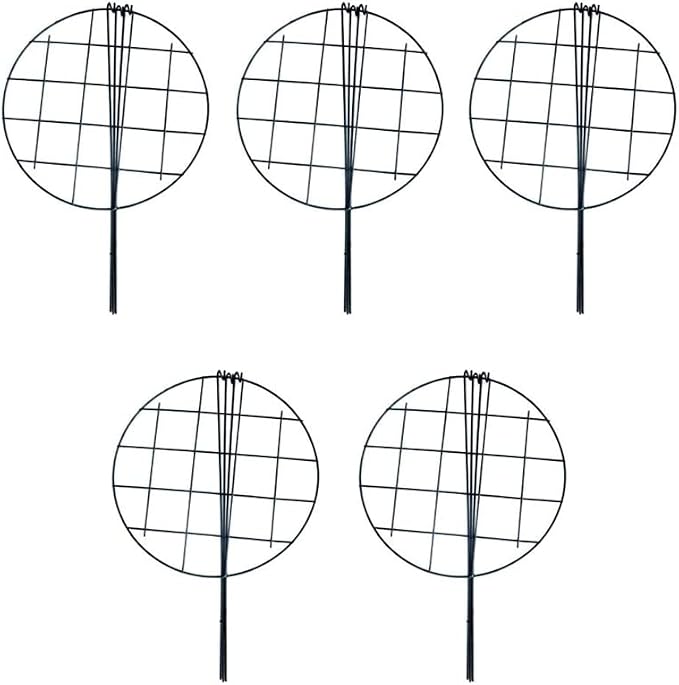 MTB Supply 5 Pack 16 x 24 inch Peony Cages, Grow Through Plant Support Stakes - Image 3