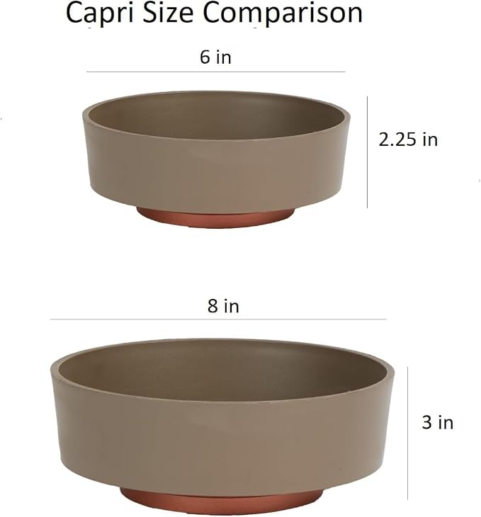 The HC Companies 8 Inch Round Plastic Succulent Capri Bowl Decorative Indoor - Image 6