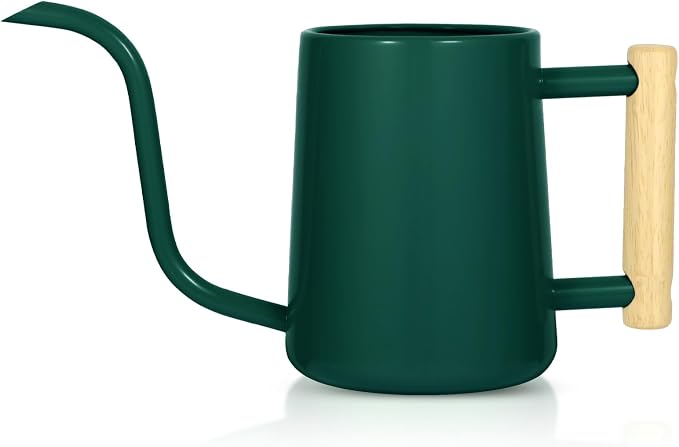 Watering Can Indoor Plants, 35 oz/1000 ml Metal Stainless Steel Watering Can Pot by Unknown