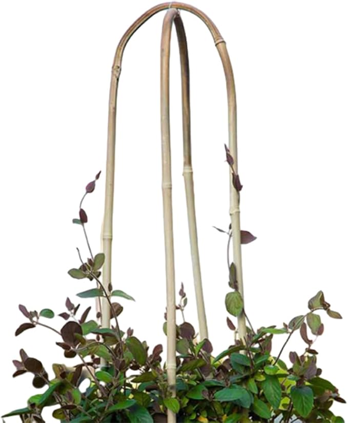 20 Pack Bamboo U Trellis for Potted Plants - Image 6