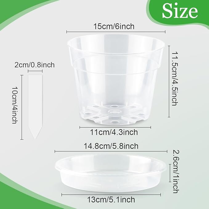 BTPLASTIK Clear Plastic Nursery Pots - Image 2