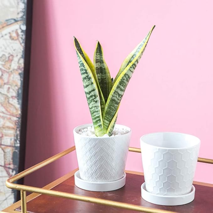 BUYMAX Plant Pots Indoor –5 inch Ceramic Flower Pot - Image 6