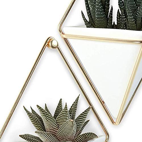 Umbra Trigg Hanging Planter Vase Wall Decor, Faux Plants, and More - Image 16