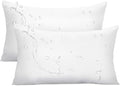 Ashler Outdoor Pillow Inserts, 12x20 Waterproof Throw Pillows Pack of 2 by AshlerHomeDeco