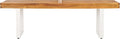 SAFAVIEH Outdoor Collection Monti Natural/White Solid Wood Bench by SAFAVIEH