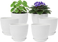 Plant Pots 8 Inch Set of 6, Flower Pots by Vanslogreen