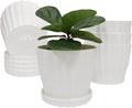 Flower Pots Outdoor Clearance 6 inch Set of 5 Succulent Planters by KAHEAUM