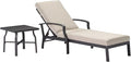 2 Pieces Lounge Chair Set, Outdoor Chaise Lounge Set, Never-Rust Aluminum Pool by SeeHill