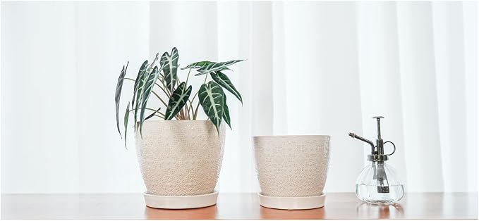 Docrin Ceramic Plant Pots Indoor, 6.6 + 5.5 Inch Planters - Image 5