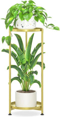 iDavosic.ly 2 Tier Corner Plant Stand Indoor, Tall Vertical Metal Flower Heavy by iDavosicly