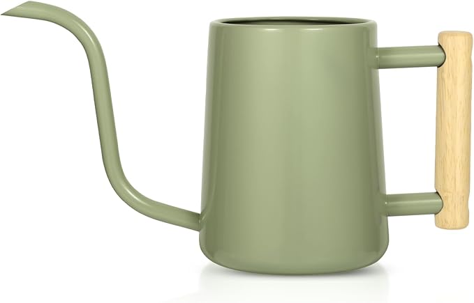 Watering Can Indoor Plants, 35 oz/1000 ml Metal Stainless Steel Watering Can Pot by Unknown