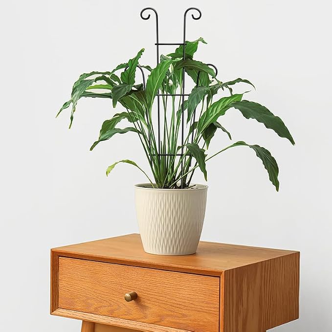 Coomin 23in Taller Plant Trellis - Image 9
