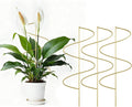 4 Pack Small Wavy Trellis for Potted Plants Indoor, 15 in Garden Trellises for by Unknown
