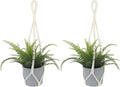 2 PCS Macrame Plant Hanger Indoor Hanging Plant Holder Hand-Woven Cotton Rope by Sliverdew
