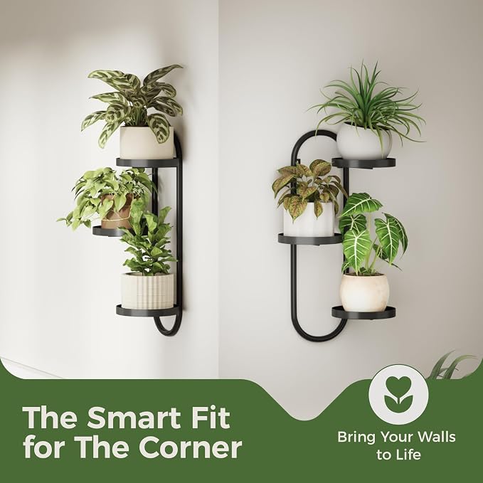 Window Plant Shelves Indoor Outdoor Wall Planters - Image 5