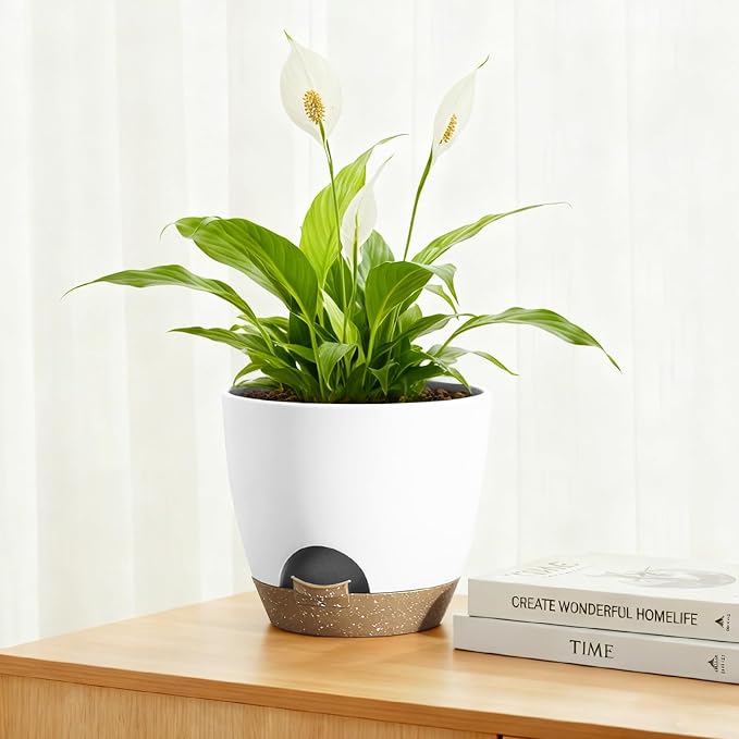 Plant Pots 8/7.5/7/6.5/6 Inch Self Watering Pots, 5 Pack Planters - Image 4