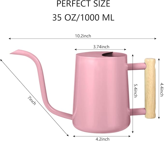 Watering Can Indoor Plants, 35oz Small Indoor Stainless Steel Metal Watering - Image 7