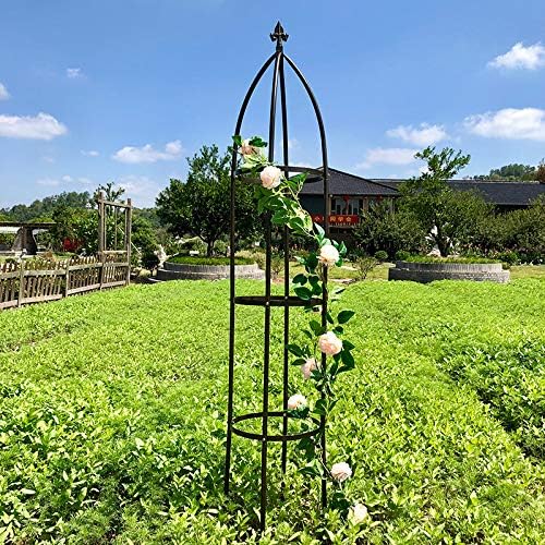 Garden Arch Trellis for Climbing Plants Rose Thicken Metal Wedding Arches Arbor - Image 2