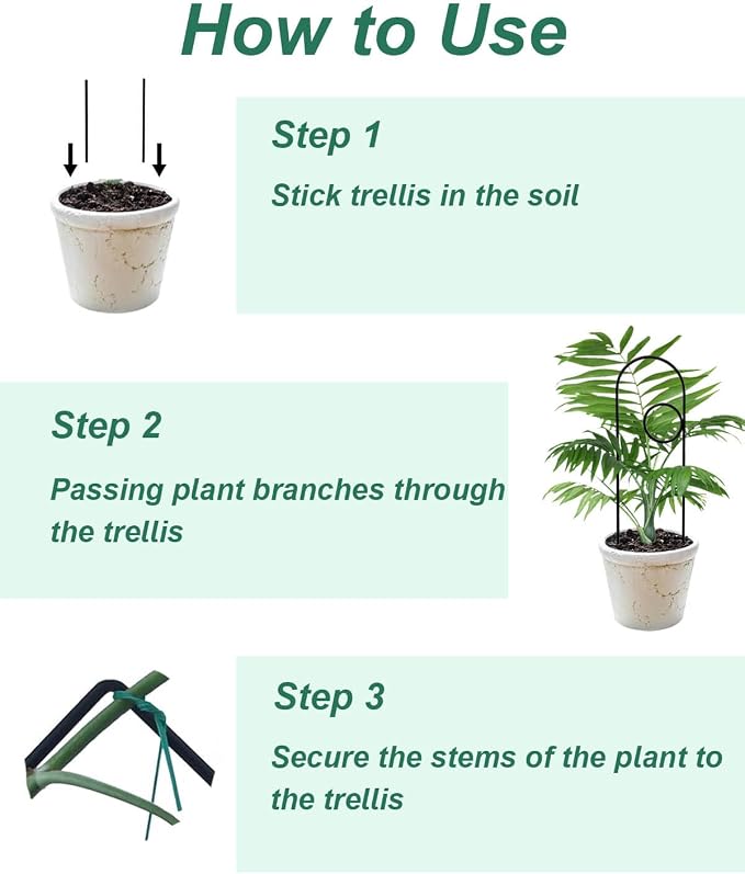 Small Plant Trellis for Climbing Plants Indoor - Image 7