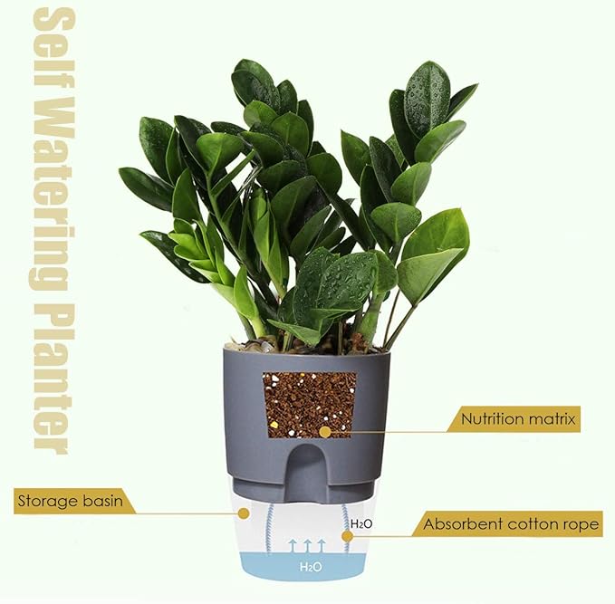 Vanavazon 6 Inch Self Watering Planter Pots - Image 2