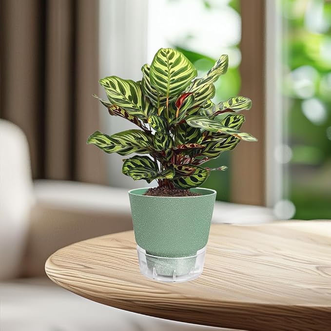 Green Self Watering Plant Pots - Image 7