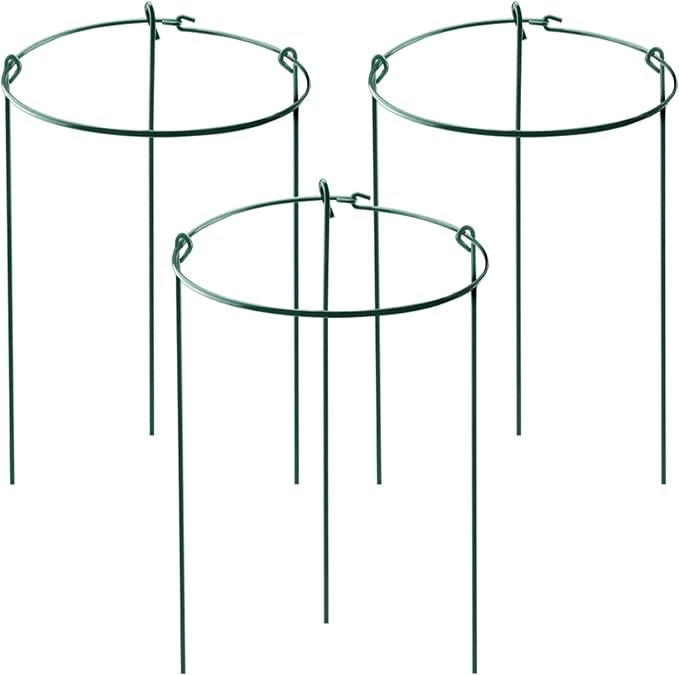 HiGift 3 Pack Peony Cages Support Stakes Ring by HiGift