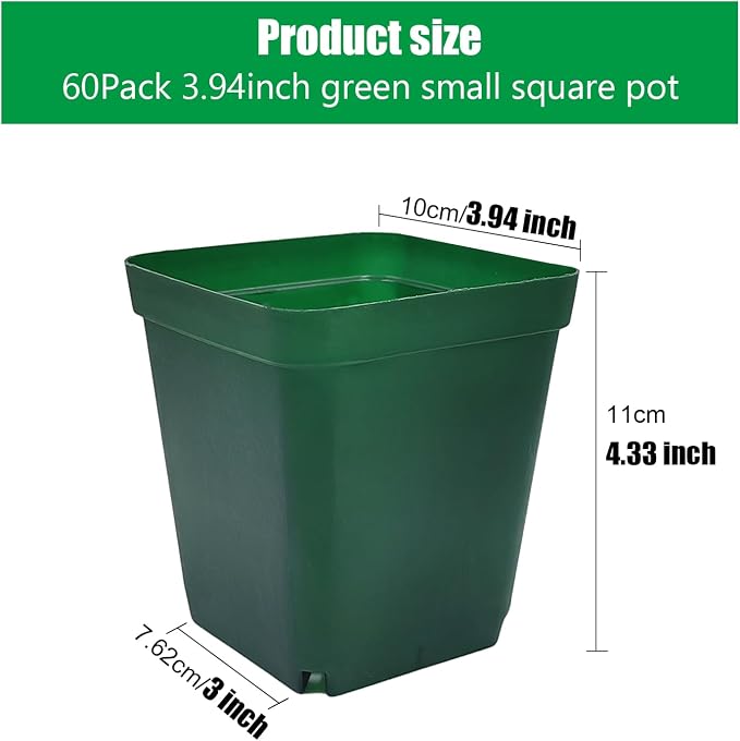 Square Nursery Succulent Pots 4 Inches 60 Pcs Deep Flower Plant Nursery - Image 2