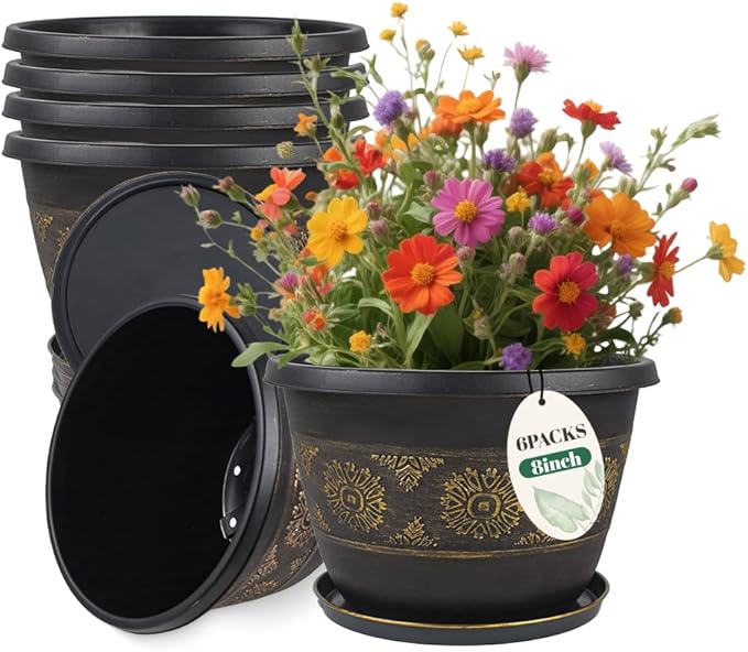 6 Pack 8 inch Plant Pots, Retro Pattern Planters by Usocik