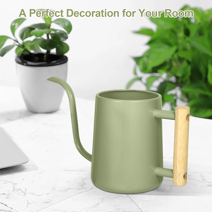 Watering Can Indoor Plants, 35 oz/1000 ml Metal Stainless Steel Watering Can Pot - Image 8
