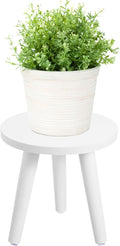 Samll Plant Stand Indoor/Outdoor by Home