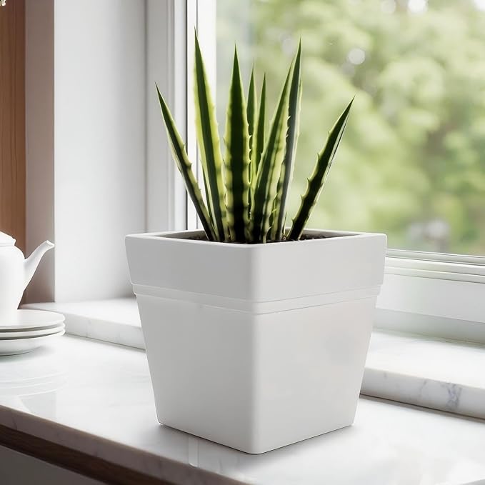 6-Pack 7 Inch Square Planters - Image 9
