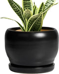 SQOWL Ceramic Plant Pot by SQOWL